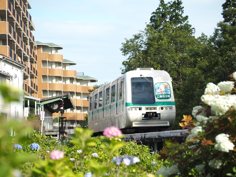 山万ユーカリが丘線とは