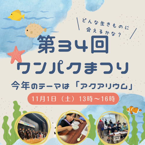 11/1開催　第34回 ワンパクまつり